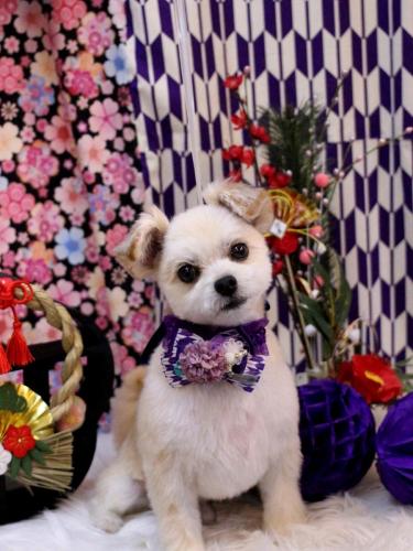 20250122だんごくん